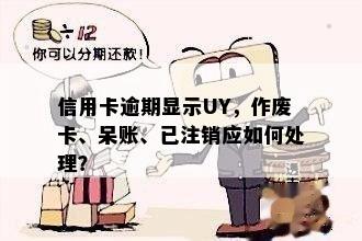 信用卡逾期显示UY，作废卡、呆账、已注销应如何处理？