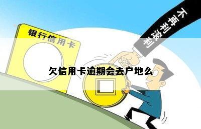 欠信用卡逾期会去户地么