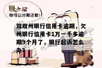 双双州银行信用卡逾期，欠州银行信用卡1万一千多逾期9个月了，银行起诉怎么办？