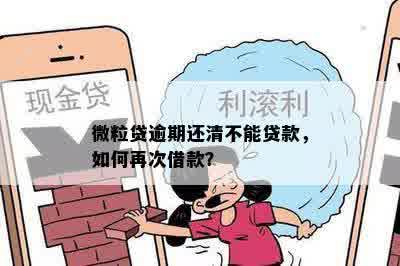 微粒贷逾期还清不能贷款，如何再次借款？