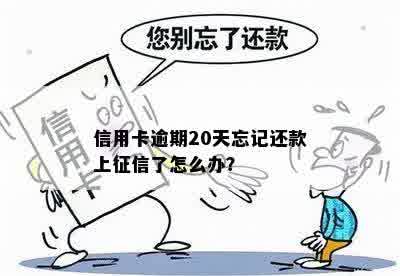 信用卡逾期20天忘记还款上征信了怎么办？