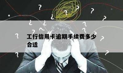 工行信用卡逾期手续费多少合适