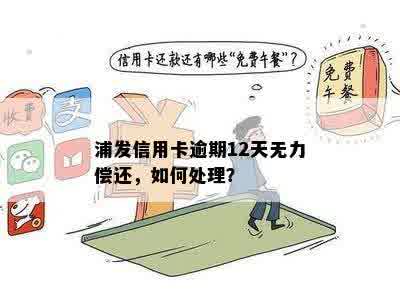 浦发信用卡逾期12天无力偿还，如何处理？