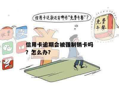 信用卡逾期会被强制销卡吗？怎么办？