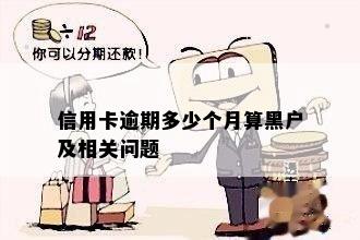 信用卡逾期多少个月算黑户及相关问题