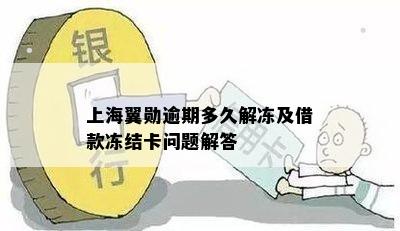 上海翼勋逾期多久解冻及借款冻结卡问题解答