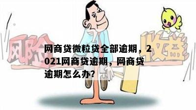 网商贷微粒贷全部逾期，2021网商贷逾期，网商贷逾期怎么办？