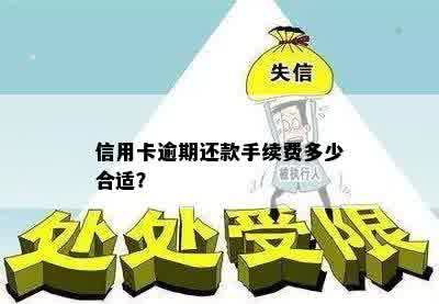 信用卡逾期还款手续费多少合适？