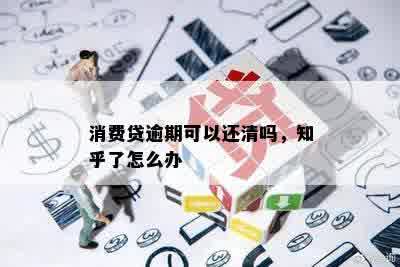 消费贷逾期可以还清吗，知乎了怎么办