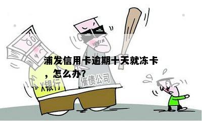 浦发信用卡逾期十天就冻卡，怎么办？