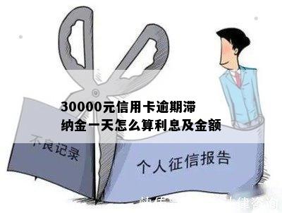 30000元信用卡逾期滞纳金一天怎么算利息及金额