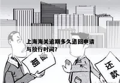 上海海关逾期多久退回申请与放行时间？