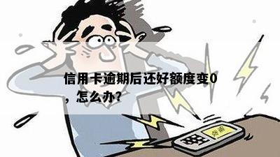 信用卡逾期后还好额度变0，怎么办？