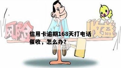 信用卡逾期168天打电话催收，怎么办？