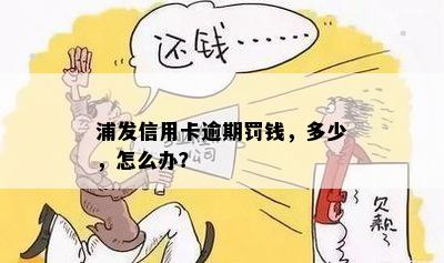 浦发信用卡逾期罚钱，多少，怎么办？