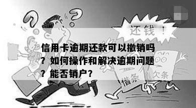 信用卡逾期还款可以撤销吗？如何操作和解决逾期问题？能否销户？