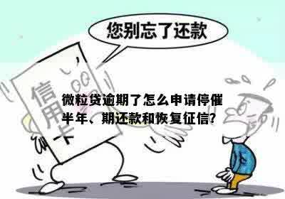 微粒贷逾期了怎么申请停催半年、期还款和恢复征信？