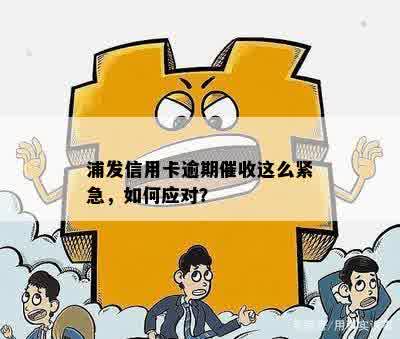 浦发信用卡逾期催收这么紧急，如何应对？