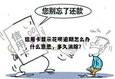 信用卡显示花呗逾期怎么办，什么意思，多久消除？