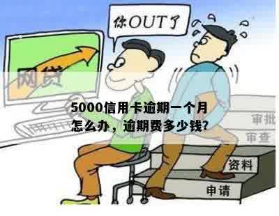 5000信用卡逾期一个月怎么办，逾期费多少钱？