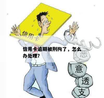 信用卡逾期被刑拘了，怎么办处理？