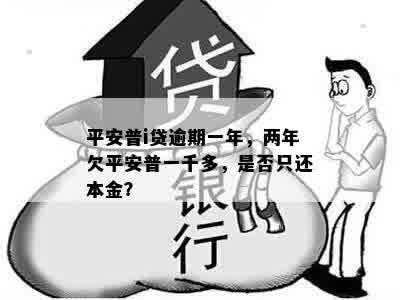 平安普i贷逾期一年，两年欠平安普一千多，是否只还本金？