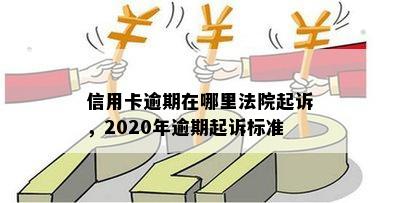 信用卡逾期在哪里法院起诉，2020年逾期起诉标准