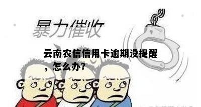 云南农信信用卡逾期没提醒，怎么办？