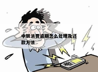 中银消费逾期怎么处理及还款方法