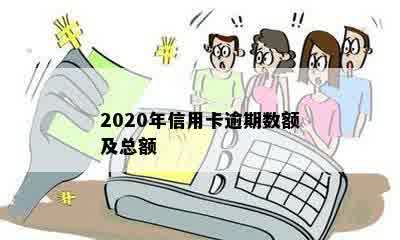 2020年信用卡逾期数额及总额