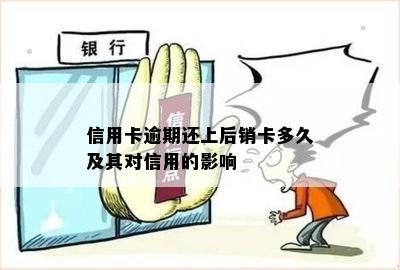 信用卡逾期还上后销卡多久及其对信用的影响