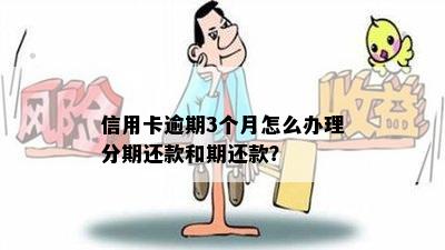 信用卡逾期3个月怎么办理分期还款和期还款？