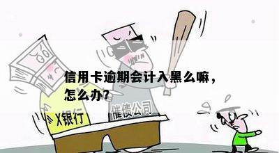 信用卡逾期会计入黑么嘛，怎么办？