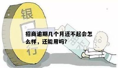 招商逾期几个月还不起会怎么样，还能用吗？