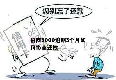 招商3000逾期3个月如何协商还款