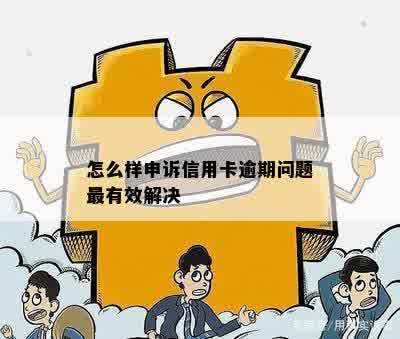 怎么样申诉信用卡逾期问题最有效解决