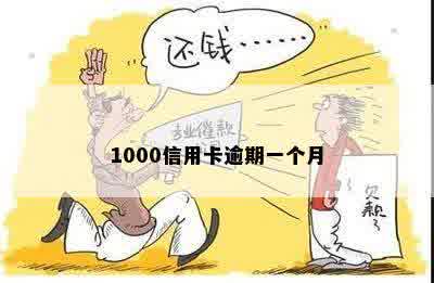 1000信用卡逾期一个月