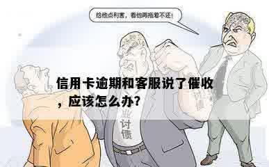 信用卡逾期和客服说了催收，应该怎么办？