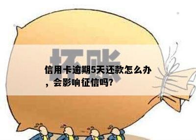 信用卡逾期5天还款怎么办，会影响征信吗？