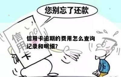 信用卡逾期的费用怎么查询记录和明细？