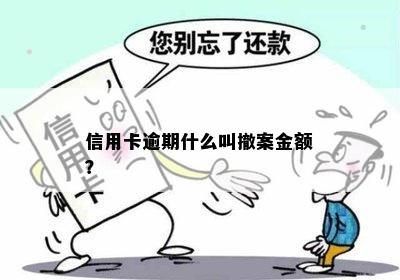 信用卡逾期什么叫撤案金额？