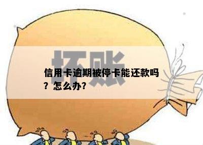 信用卡逾期被停卡能还款吗？怎么办？