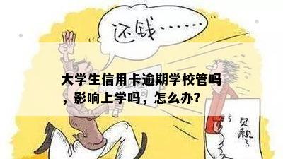 大学生信用卡逾期学校管吗，影响上学吗，怎么办？