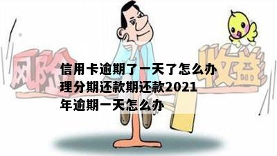 信用卡逾期了一天了怎么办理分期还款期还款2021年逾期一天怎么办