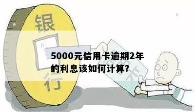 5000元信用卡逾期2年的利息该如何计算？