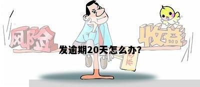 发逾期20天怎么办？