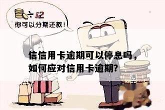 信信用卡逾期可以停息吗，如何应对信用卡逾期？