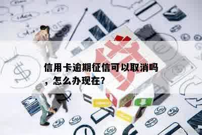 信用卡逾期征信可以取消吗，怎么办现在？