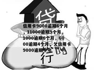 信用卡9000逾期6个月，11000逾期9个月，1000逾期6个月，6000逾期4个月，欠信用卡9000逾期半年