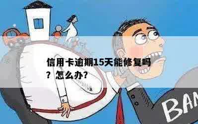 信用卡逾期15天能修复吗？怎么办？